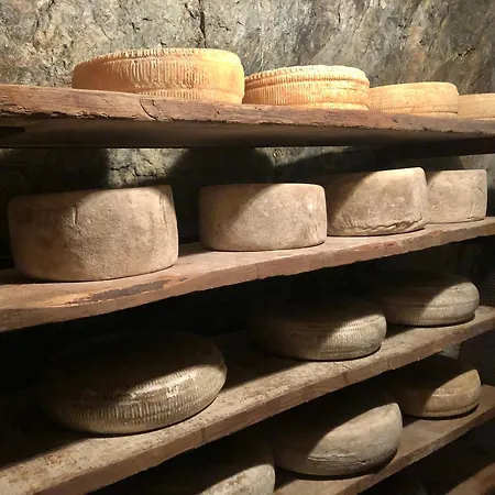 팜스테이 Stella *