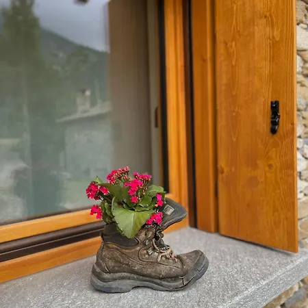 팜스테이 Stella 크리솔로