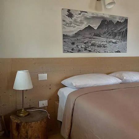 Stella * 크리솔로