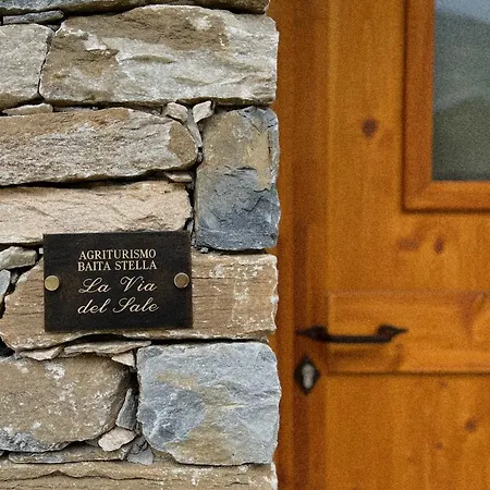 Stella * 크리솔로